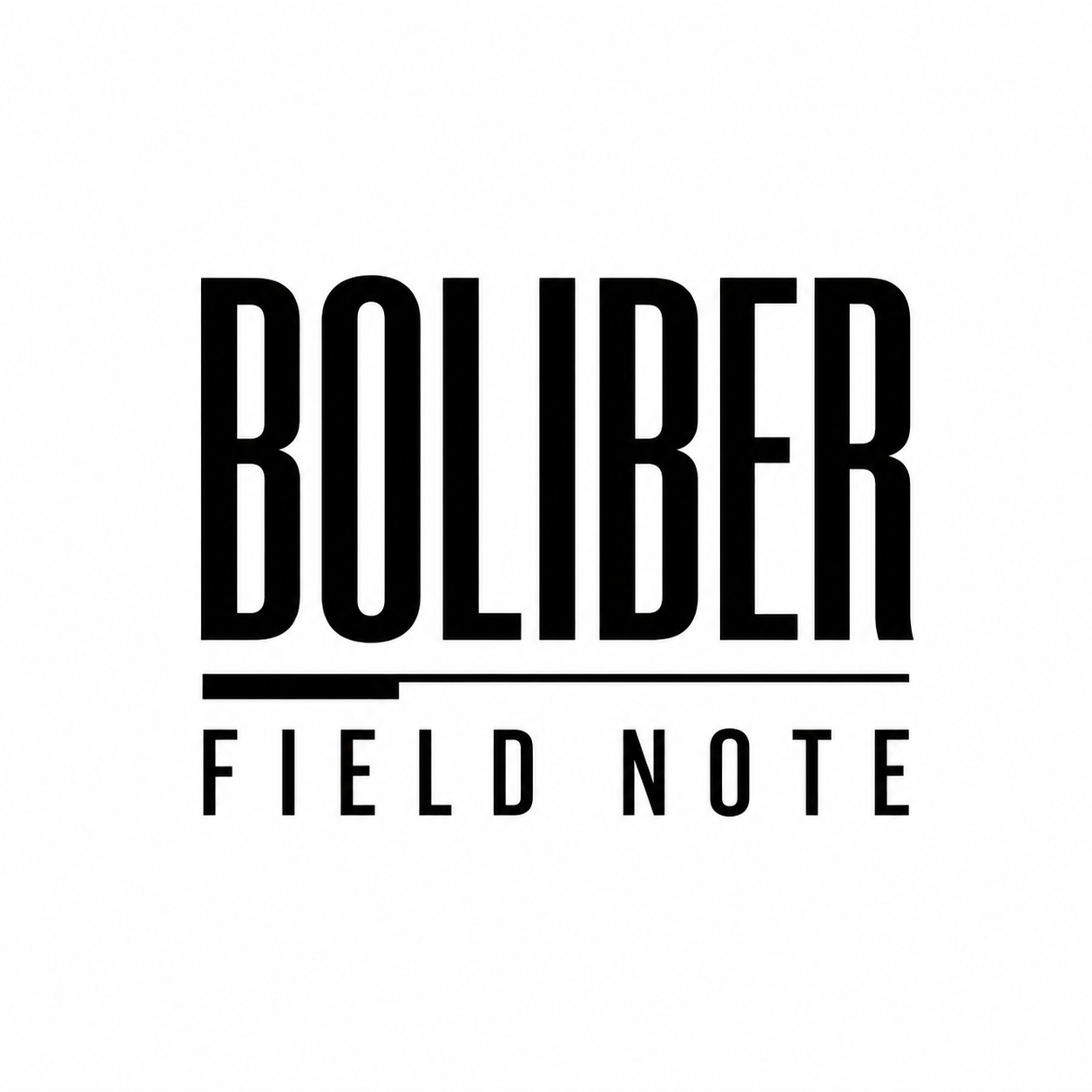 Boliber logo